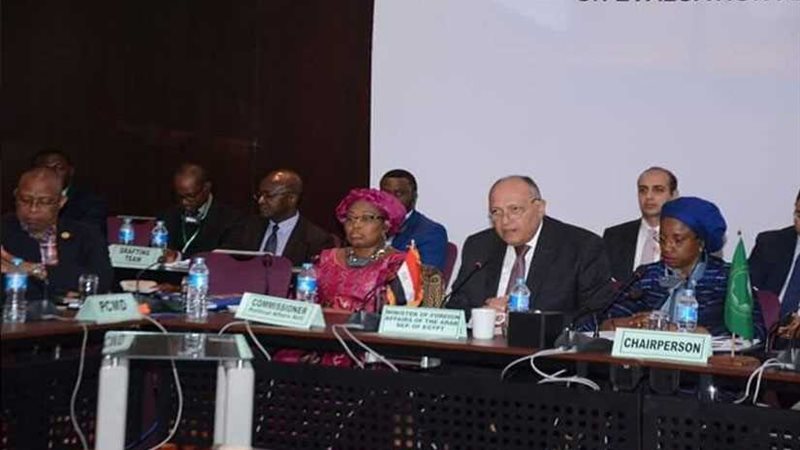  شكري يشارك في الجلسة