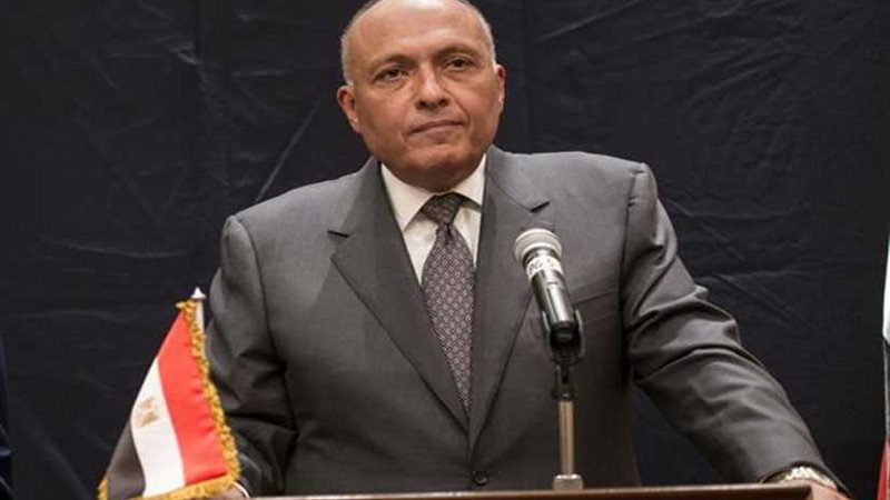 وزير الخارجية: تكامل