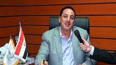 اتحاد الصناعات: تجميع ٨٠ طن أرز وتخصيصها لقرية الروضة بشمال سيناء