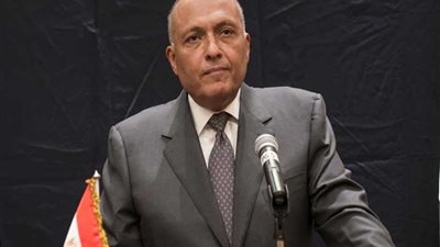 شكري يؤكد على سياسة مصر الرافضة لإقامة معسكرات للاجئين على أراضيها