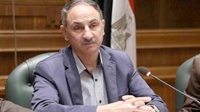 نائب يطالب بزيادة ميزانية تغذية المرضى بمستشفيات المنيا