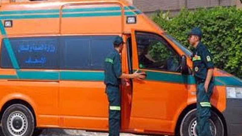 البحيرة ..إصابة 3