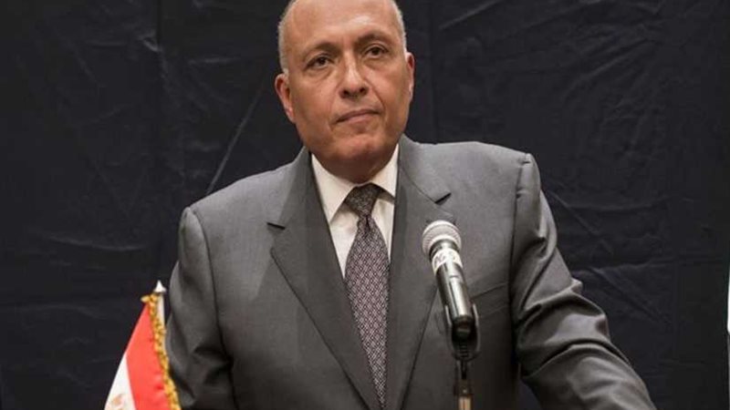 شكري يؤكد على سياسة