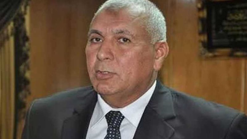 محافظ الوادي الجديد: