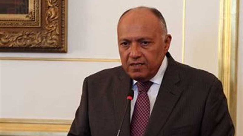 شكري يصل تونس لحضور