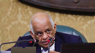 عبدالعال: التأمين الصحي المجاني يدغدغ المشاعر ويصدم المواطن بواقع 