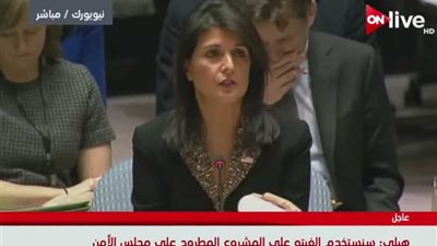 بث مباشر.. لجلسة مجلس الأمن لمناقشة طلب مصر الرافض لقرار ترامب