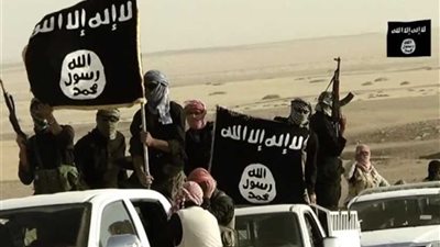 غدا..محاكمة 213 متهما من عناصر 