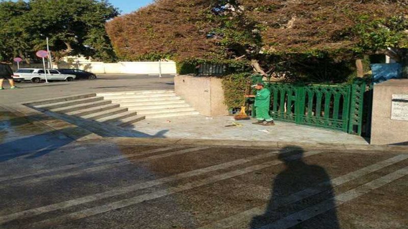 بدء تقليم الأشجار