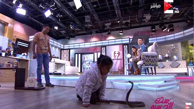 طفلة تقبل تمساحًا