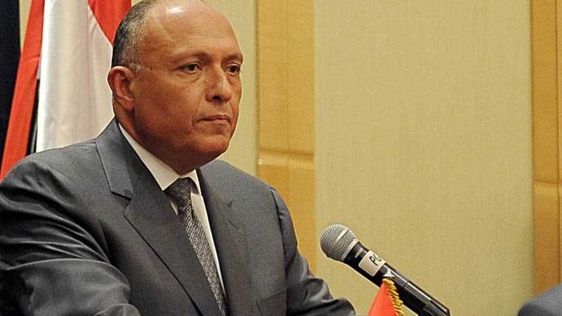 شكري يؤكد ضرورة التحسب