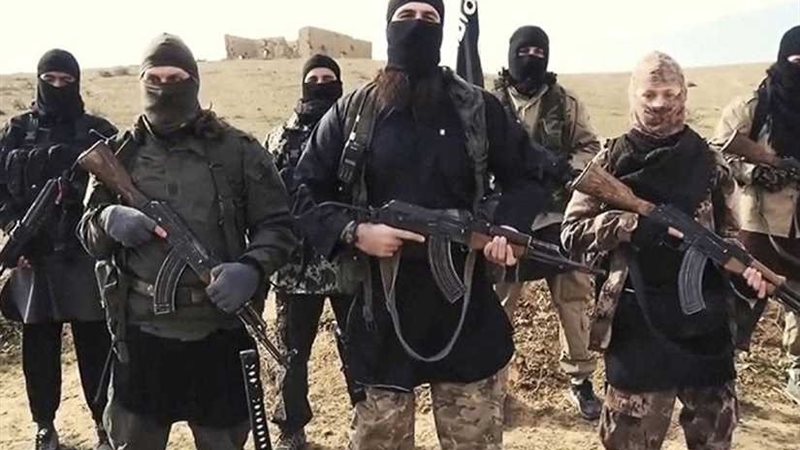 شبكة الإخوان في بلاد