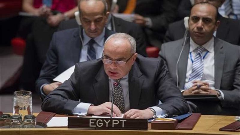 مندوب مصر بالأمم