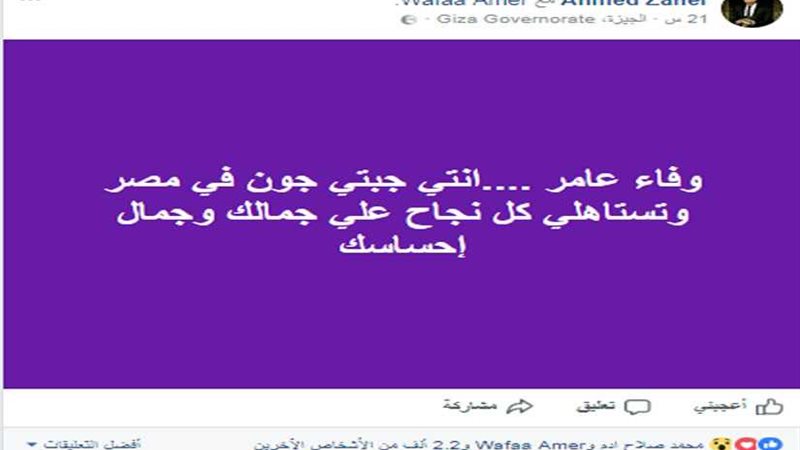 أحمد زاهر لوفاء عامر: