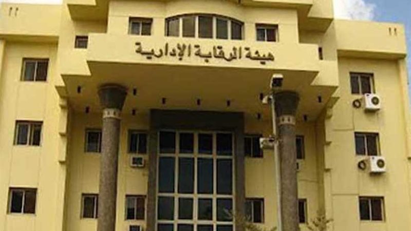 ضرباتهيئة الرقابة