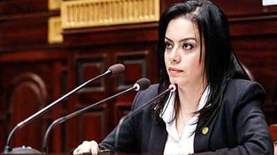 سيلفيا نبيل تقترح تشكيل لجنة بين 