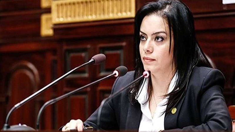 سيلفيا نبيل تقترح