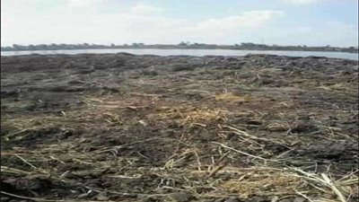 كفر الشيخ.. رجل أعمال يردم 5 فدادين بنهر النيل في دسوق