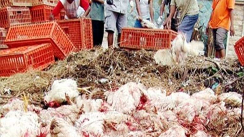 القبض على سائق بحوزته