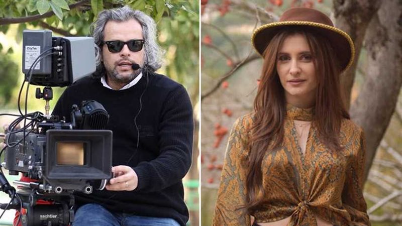 كنزة مُرسلي: العمل