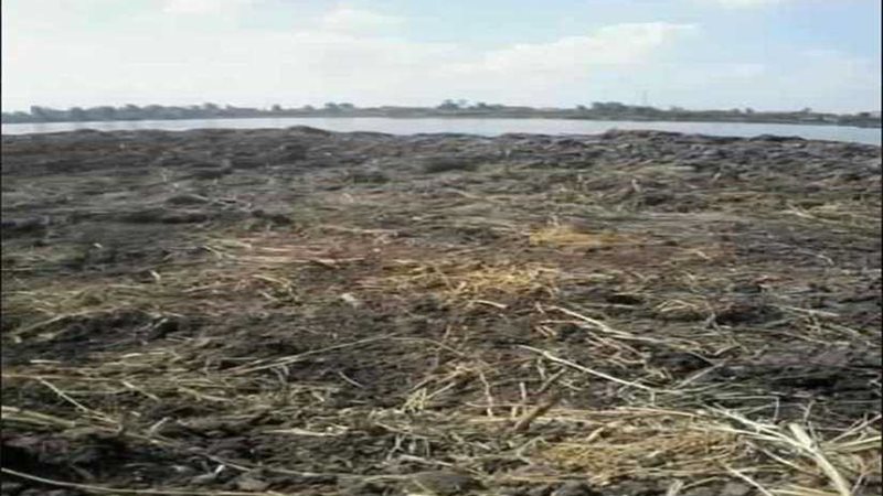 كفر الشيخ.. رجل أعمال