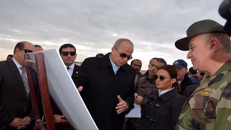 محافظ القليوبية ووزيرة