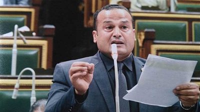 نائب: الانتقاص من استقلالية الأزهر هدم للدولة ولا يخدم إلا أعداء الوطن