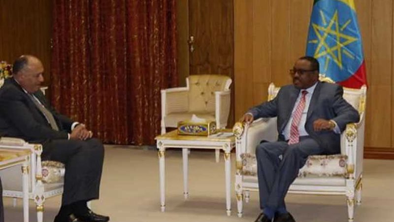  شكري يلتقي رئيس