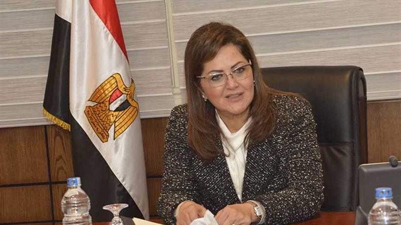 وزير التخطيط: الحكومة