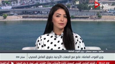 وزير القوى العاملة: الأردنيين مستاءون لوفاة العامل المصري وسنعيد حقه