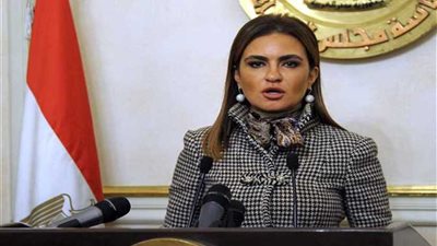 نجاحات وإخفاقات وزارة الاستثمار خلال 2017