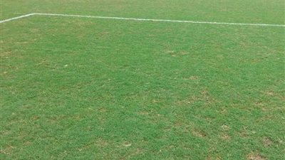 غضب في الزمالك من ملعب أسيوط