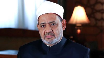 حصاد مواجهة منظمة 