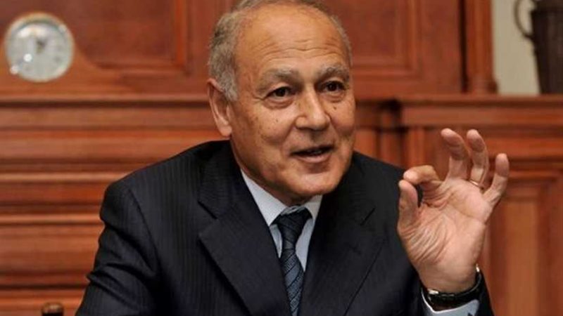 أبو الغيط: التعليم