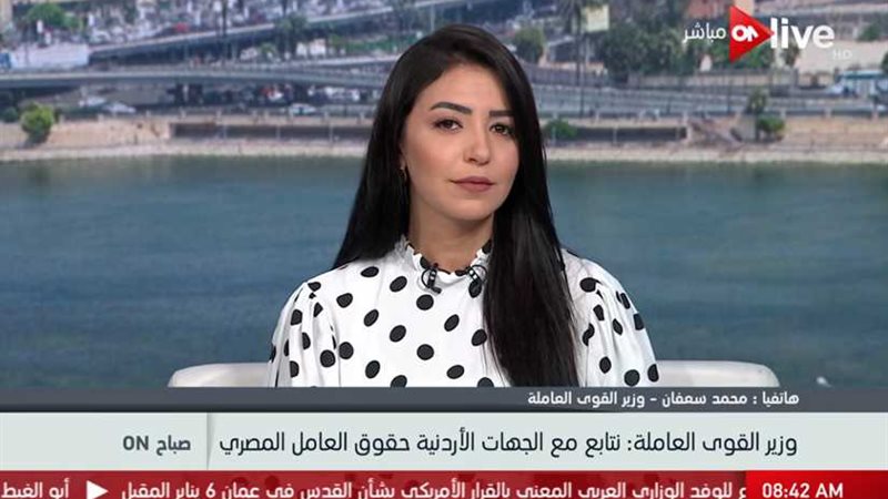 وزير القوى العاملة: