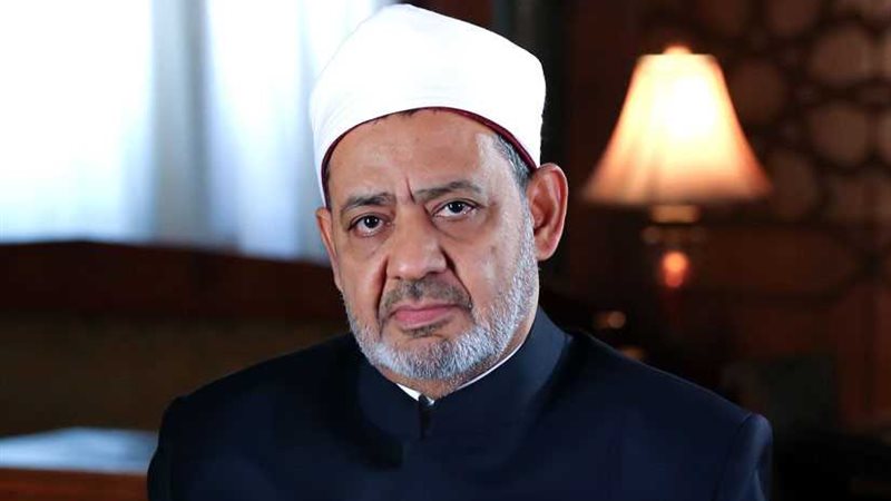 حصاد مواجهة منظمة