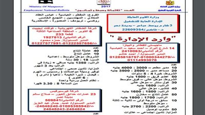 بوابة روزاليوسف تنشر 5342 فرصة عمل