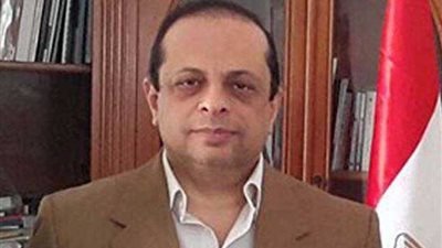 هشام مراد: الثقافة والفنون المصرية حاضرة في قارات العالم