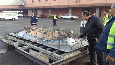 وصول جثمان الراحل إبراهيم نافع لمطار القاهرة