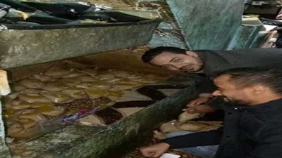 تحرير 16 محضرًا لمنتجات فاسدة بالخصوص