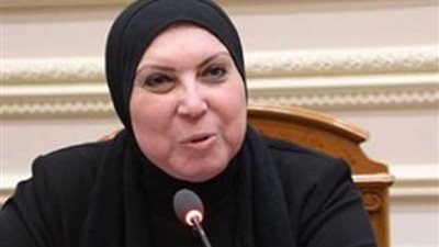 مبادرة لتمويل 250 سيارة ربع نقل للشباب