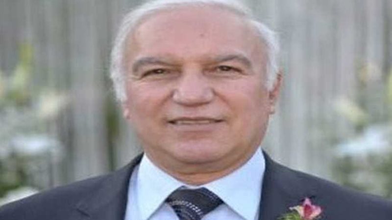 عبدالعاطي: لن نتدخل