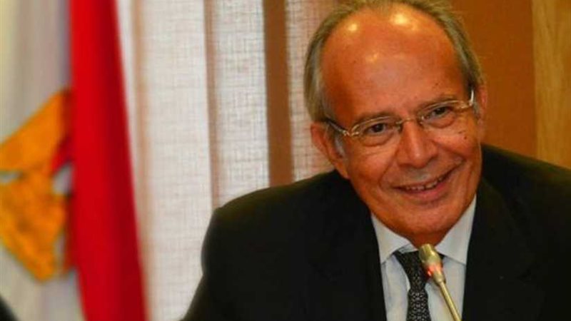 وزير التنمية المحلية