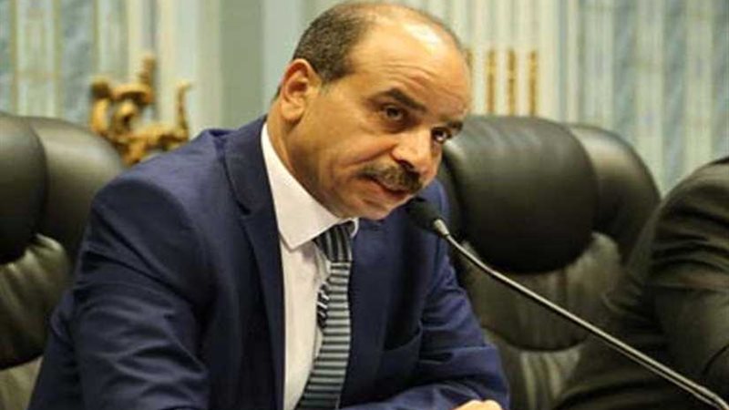 رئيس الزراعة والري: