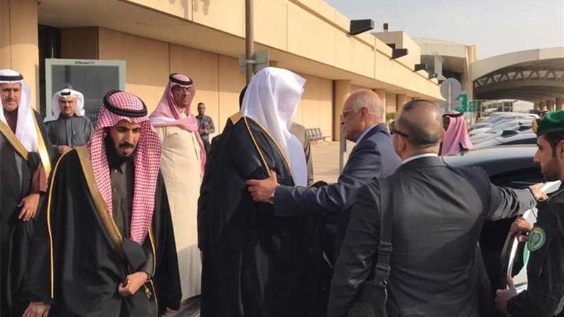 بالفيديو والصور..