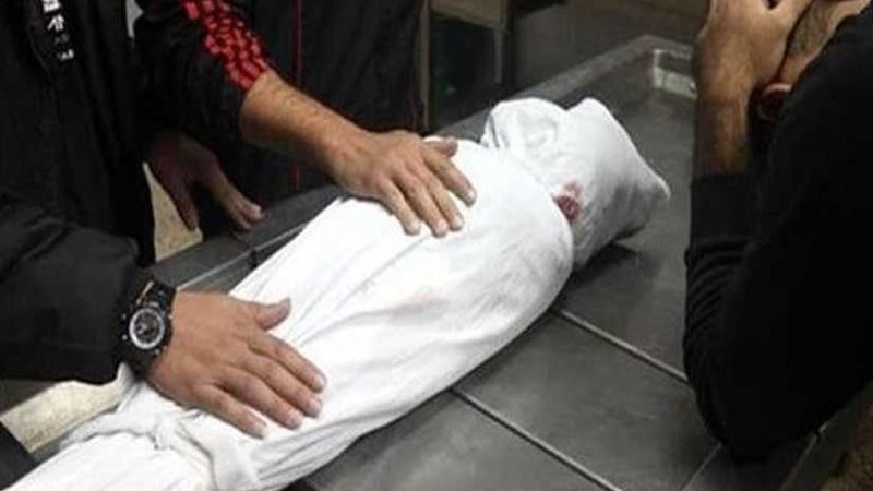 الأمن العام يكشف