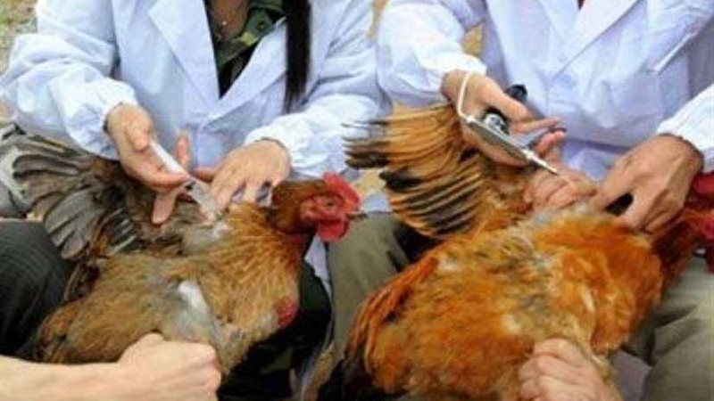 بدء برنامج لتحصين