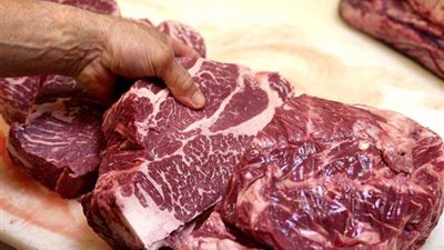 طرح لحوم ضاني بمنافذ مديرية الزراعة بالغربية