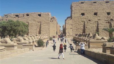 اليونسكو تساهم فى تطوير المواقع الأثرية .