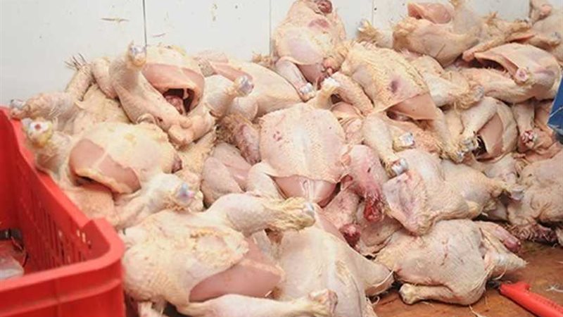 ضبط 8 أطنان دواجن